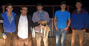 Yaralı sokak köpeğine gençler sahip...